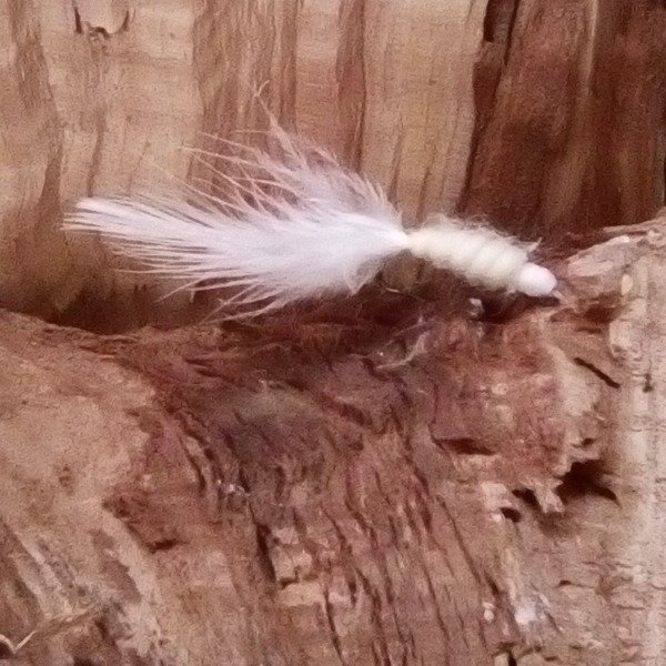 Producto - Mosca 01