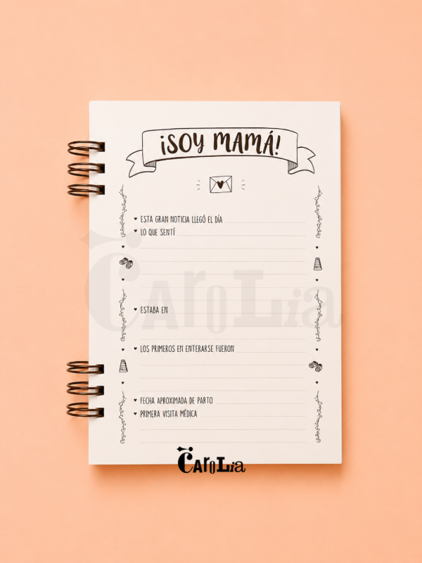 Producto - Diario de Embarazo - 2
