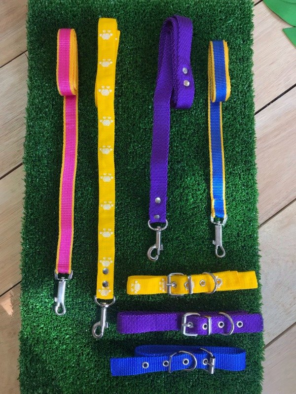 Producto - Correas clasicas