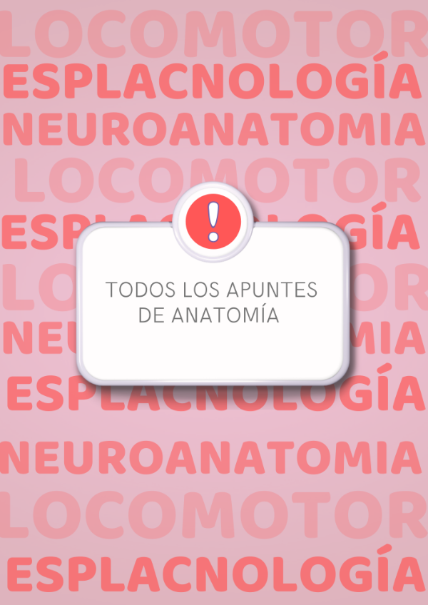 Producto - Todos los Apuntes de Anatomía