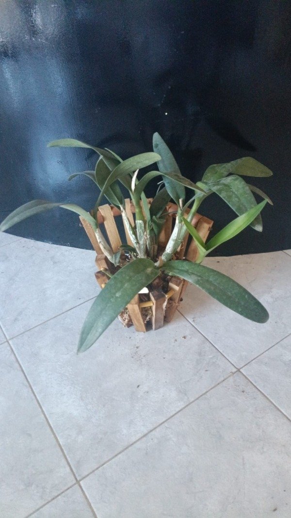 Miniatura de producto - 6