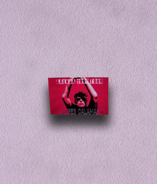 Producto - STICKER CALAMARO #2
