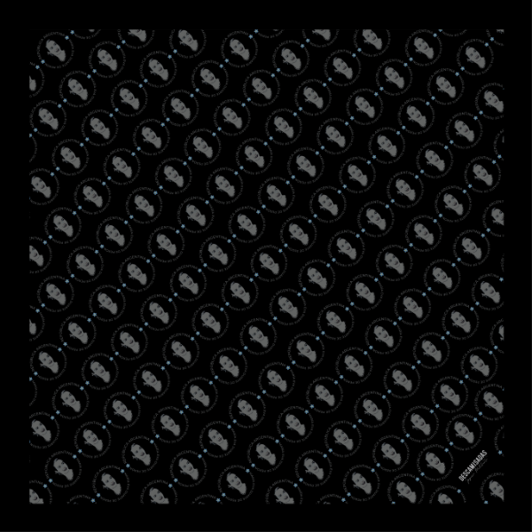 Producto - Pañuelo de seda negro - 1