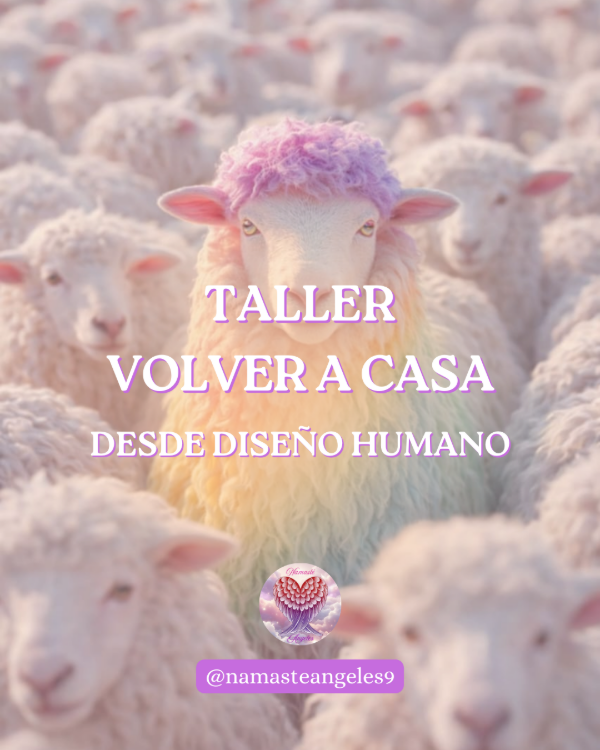 Producto - Taller Volver a Casa