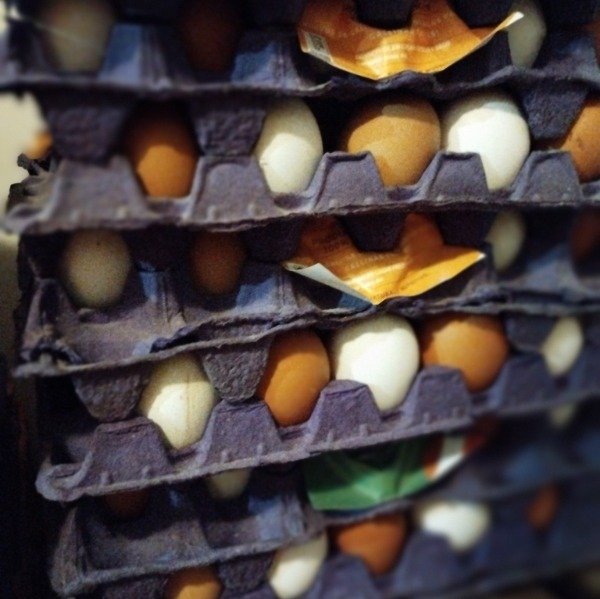 Producto - Huevos de campo de gallinas libres de jaula