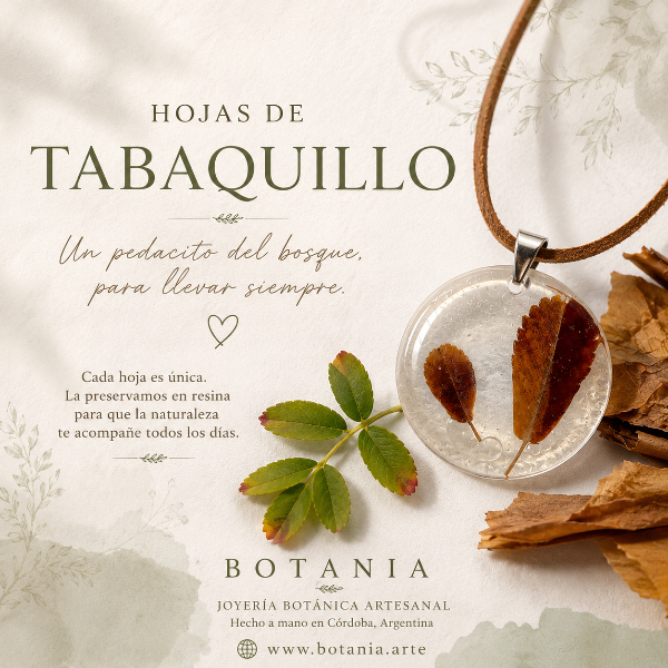 Producto - Hoja 1 Tabaquillo - 5