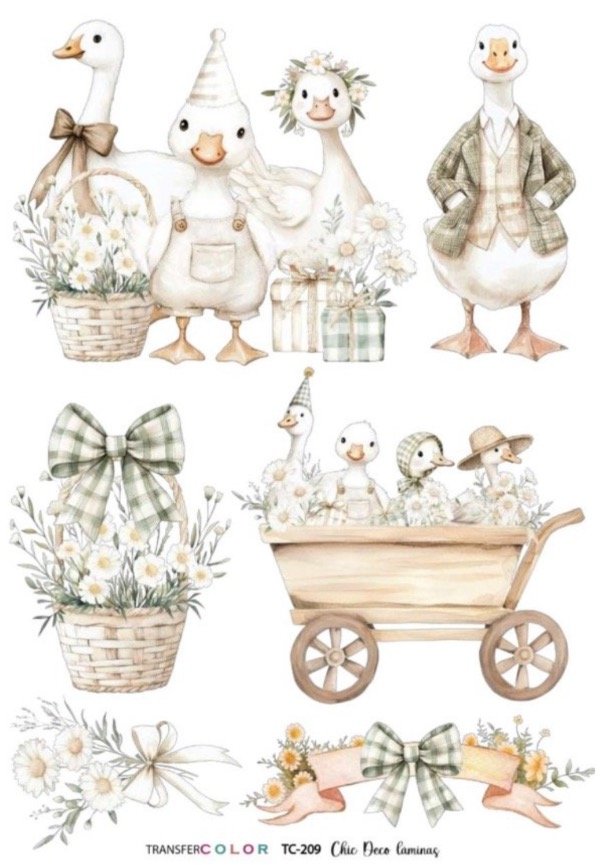 Producto - Transfer Color 209