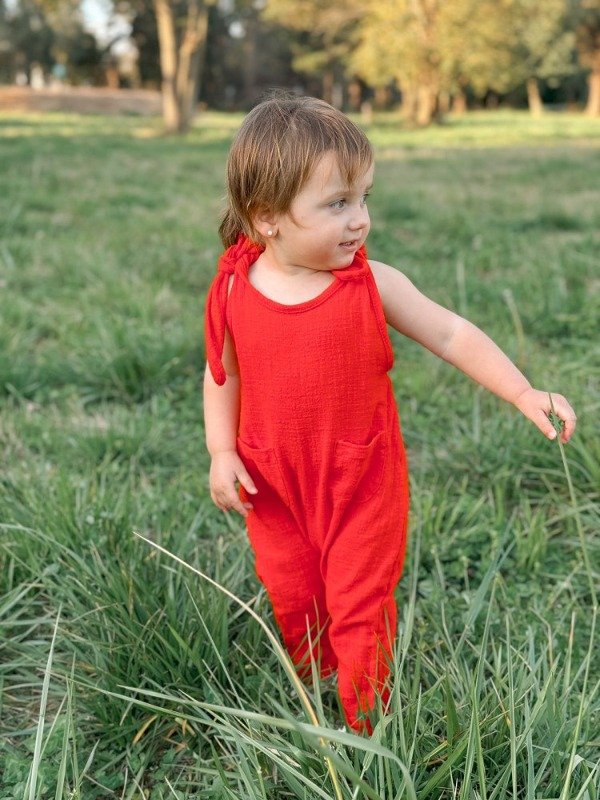 Producto - Jardinero de gasa rojo