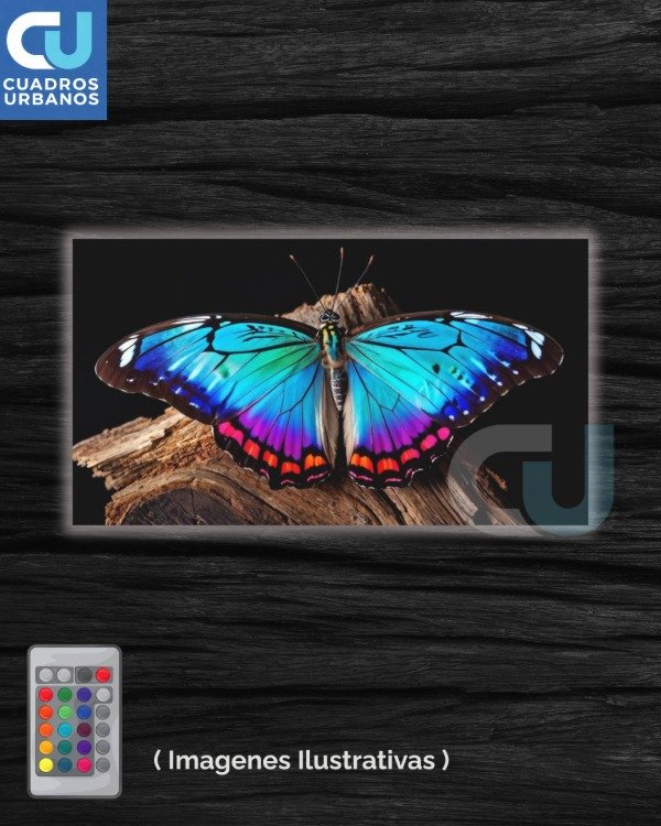 Producto - Animales led 43