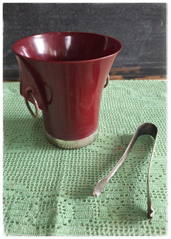 Producto - Hielera de plástico + pinza