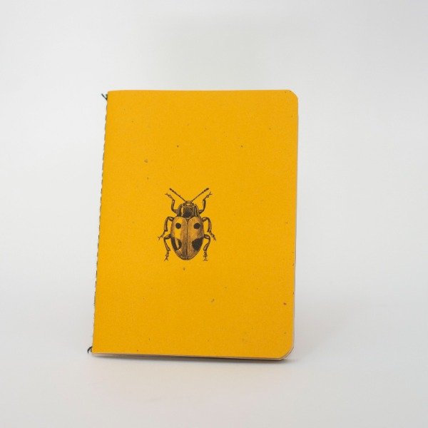 Producto - CARINO - COLECCION - 4