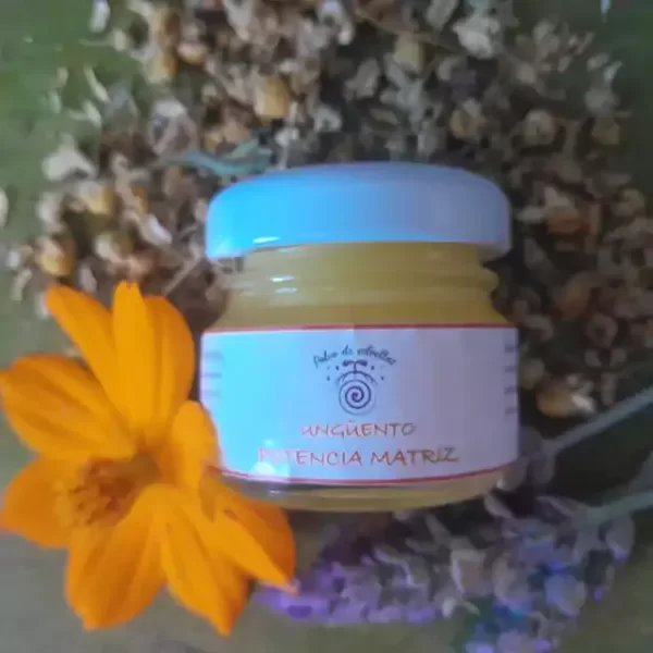 Producto - Ungüento Potencia Matriz