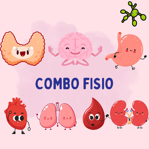 Producto - COMBO FISIO COMPLETO VIRTUAL