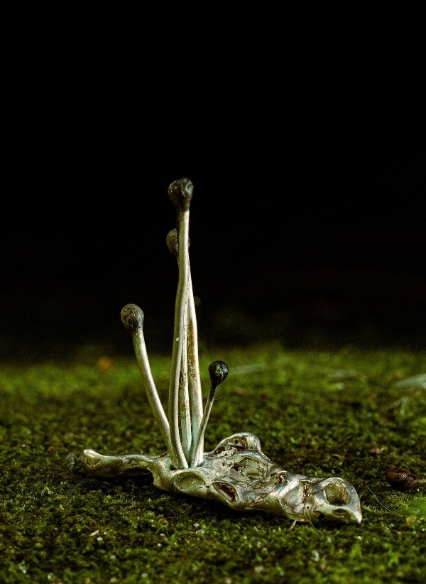 Producto - Hongos de plata sobre base maciza de plata