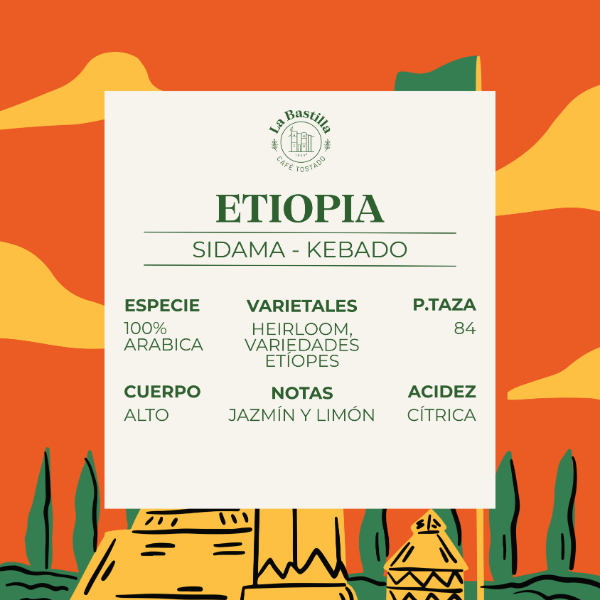 Producto - CAFÉ ETIOPIA
