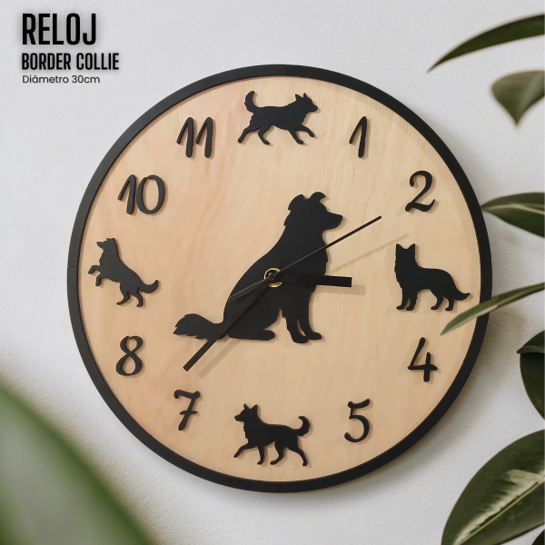 Producto - Reloj Border Collie