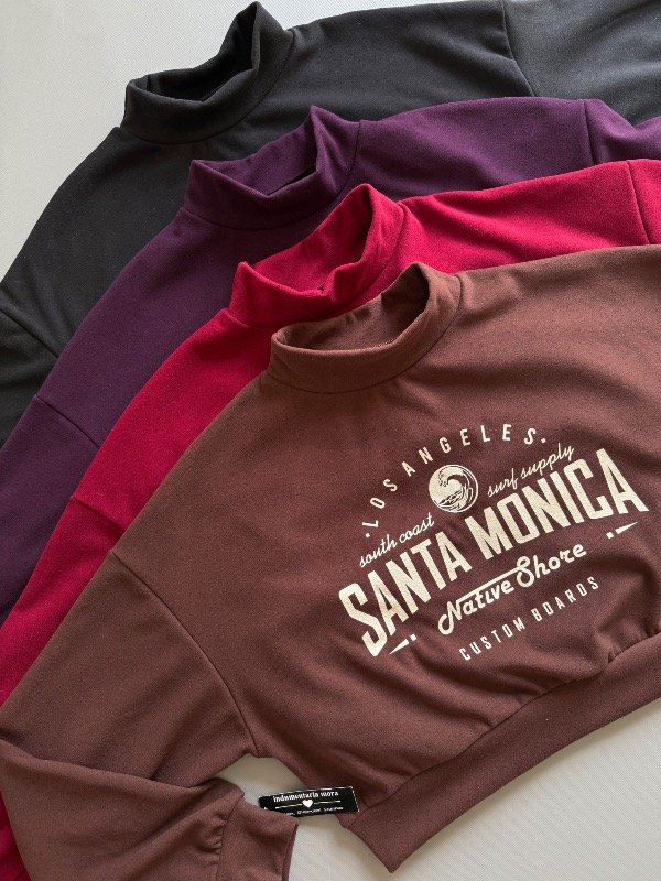 Producto - Buzo santa Mónica /darlon