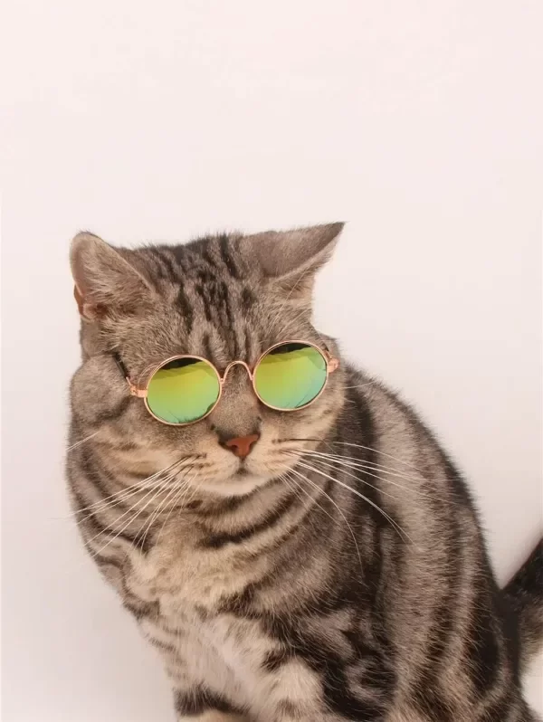 Producto - GAFAS