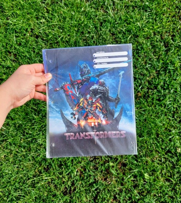 Producto - Separadores Transformers N3 X6