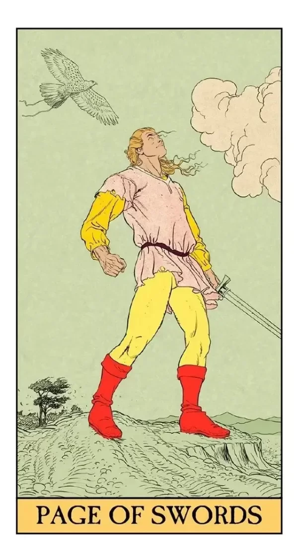 Miniatura de producto - 7