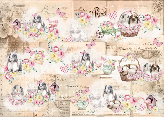 Producto - PASC 7