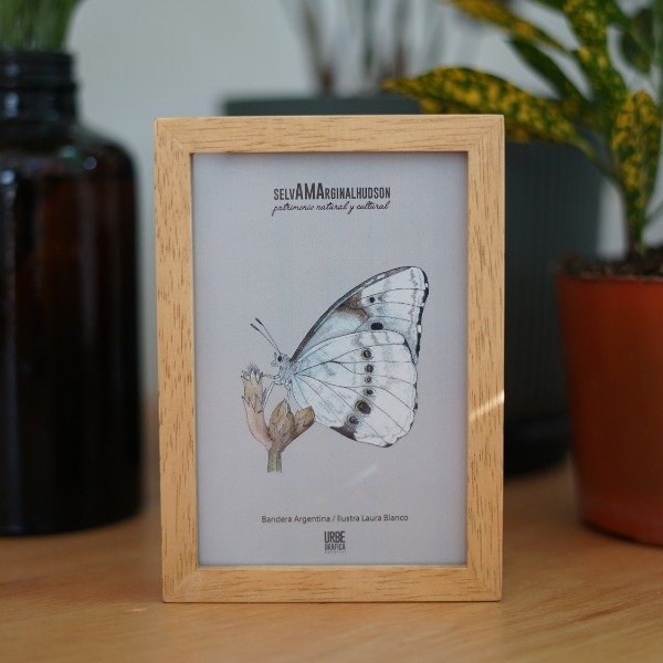 Producto - Selva Marginal Hudson láminas