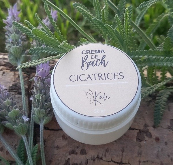 Producto - CICATRICES