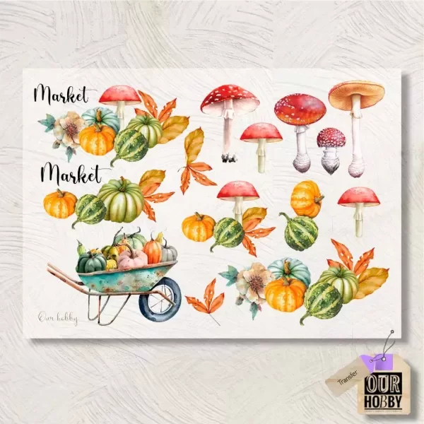 Producto - Transfolex color (plancha) 011