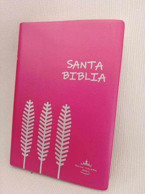 Producto - BIBLIA REINA VALERA ROSA tamaño chica