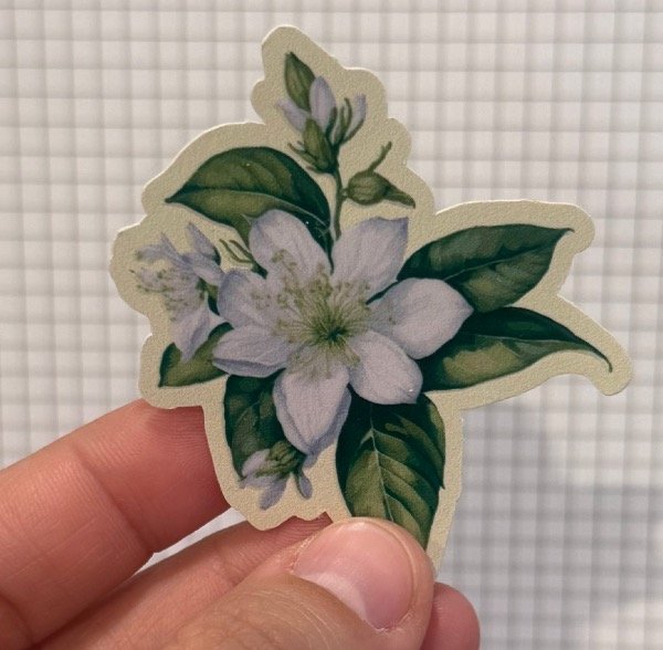 Producto - Sticker jazmín