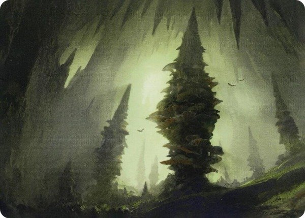 Producto - Forest (55/81) Art Card - Art Series: Adventures in the Forgotten Realms (ASAFR)