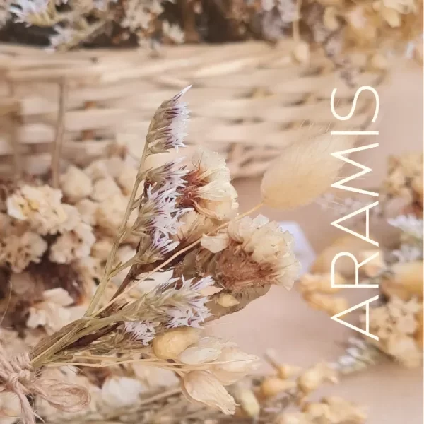 Producto - Mini Ramitos - Boho Chic x10