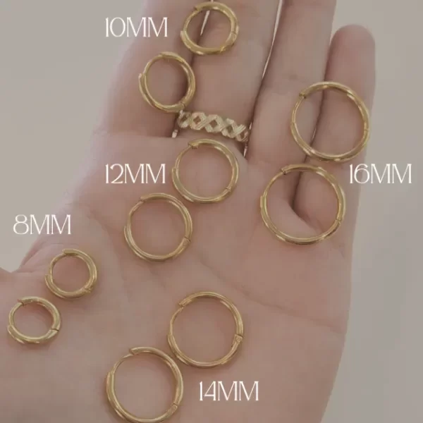 Producto - Argollas Noa