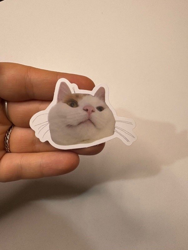 Producto - Sticker gato 116