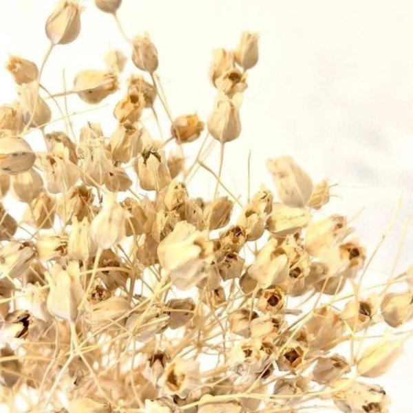 Producto - RAMO FLOR FOQUITO
