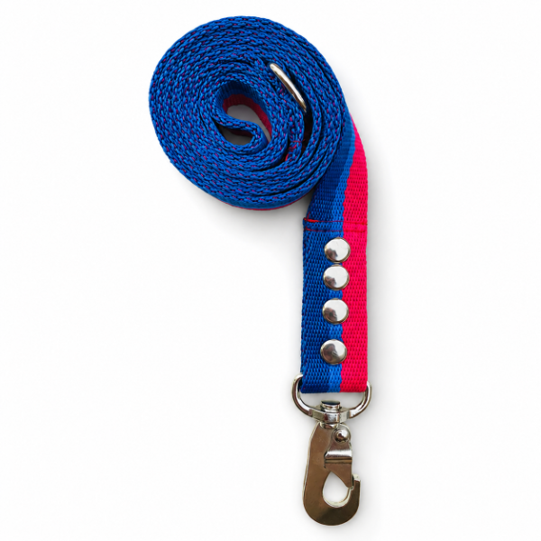 Producto - Correa Zafiro para perro de mas de 30 kg con gancho reforzado