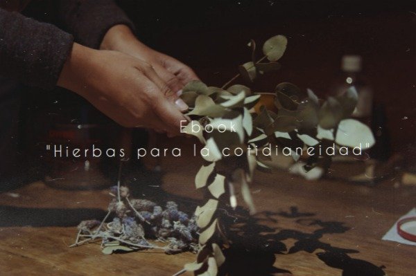Producto - Ebook "Hierbas para la cotidianeidad"
