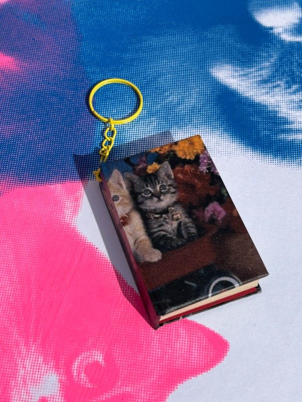 Producto - Gatitos en carretilla - 2