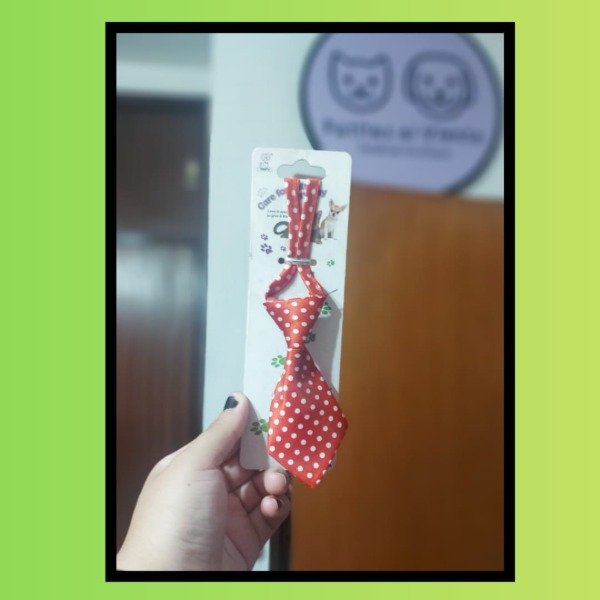 Producto - Corbatines chicos