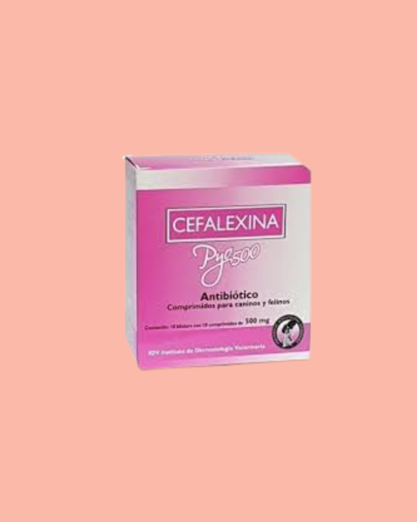 Producto - CEFALEXINA 500MG