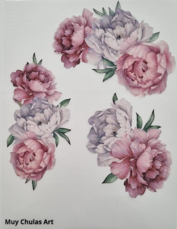 Producto - Rosas