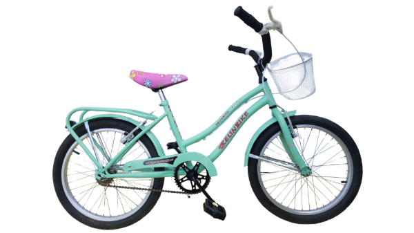 Producto - BICICLETA PRIMATERRA R.20 C/FRENO Y CANA