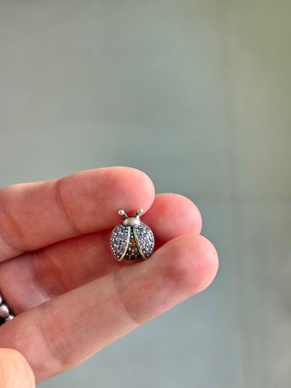 Producto - charm mariquita