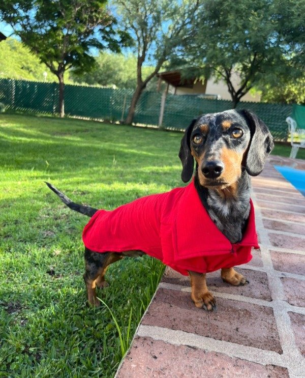 Producto - Camisa Roja