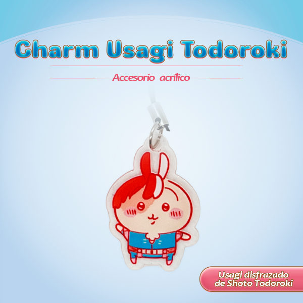 Producto - Usagi Todoroki
