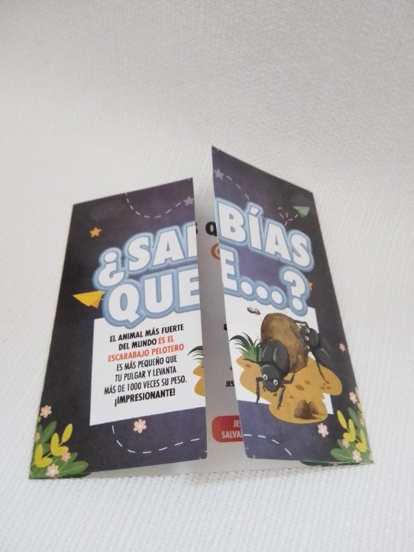 Producto - FOLLETOS TRIPTICO INFANTIL / PACK X 50