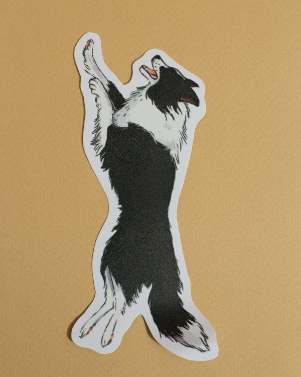 Producto - Sticker vinilo "Border Collie corre"