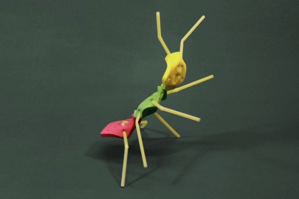 Producto - Antón, la hormiga