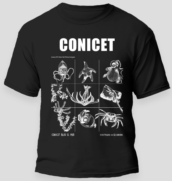 Producto - Remera Conicet Argentina