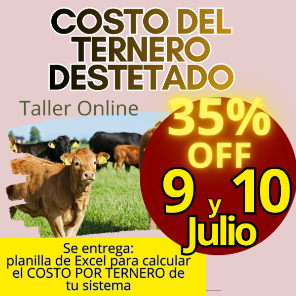 Producto - Taller Online: Costo del Ternero